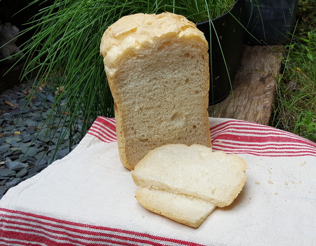 Simple bread machine Ciabatta