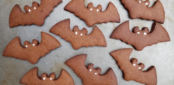 Chocolate bat cookies