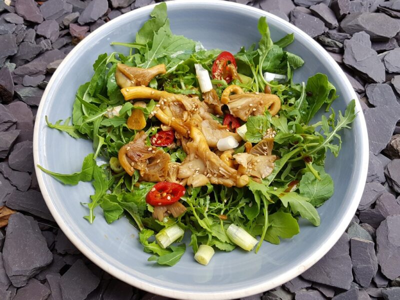 Stir-fried mushroom salad