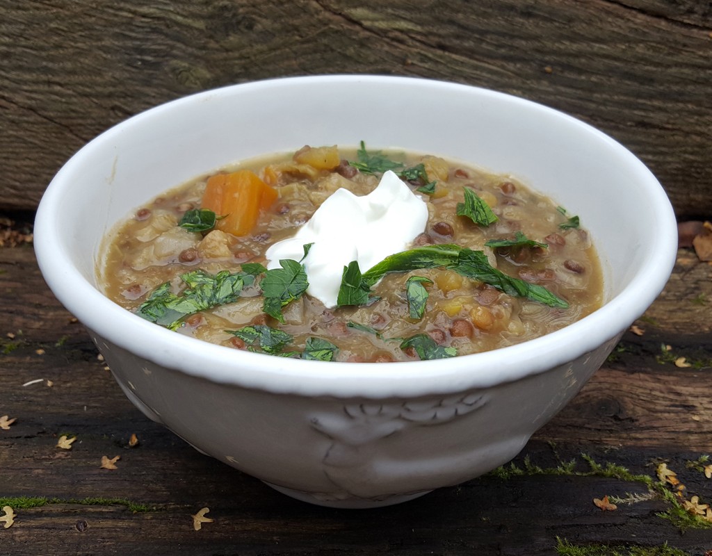 Squash and Lentil Soup