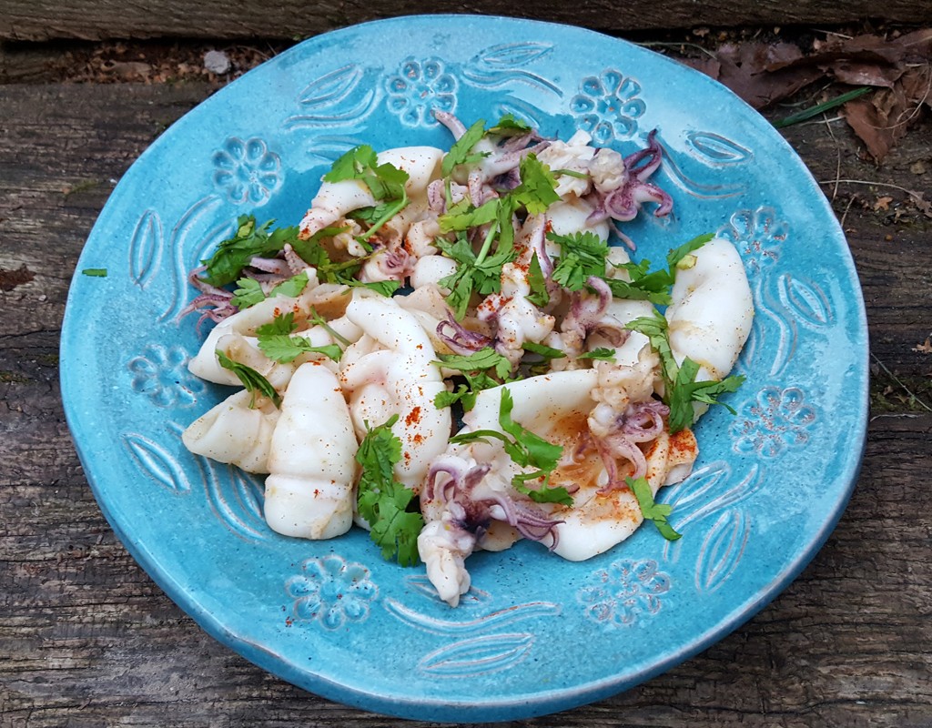 Spiced griddled squid