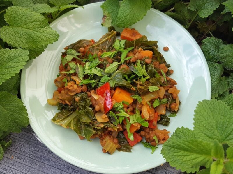 Spiced lentils with vegetables