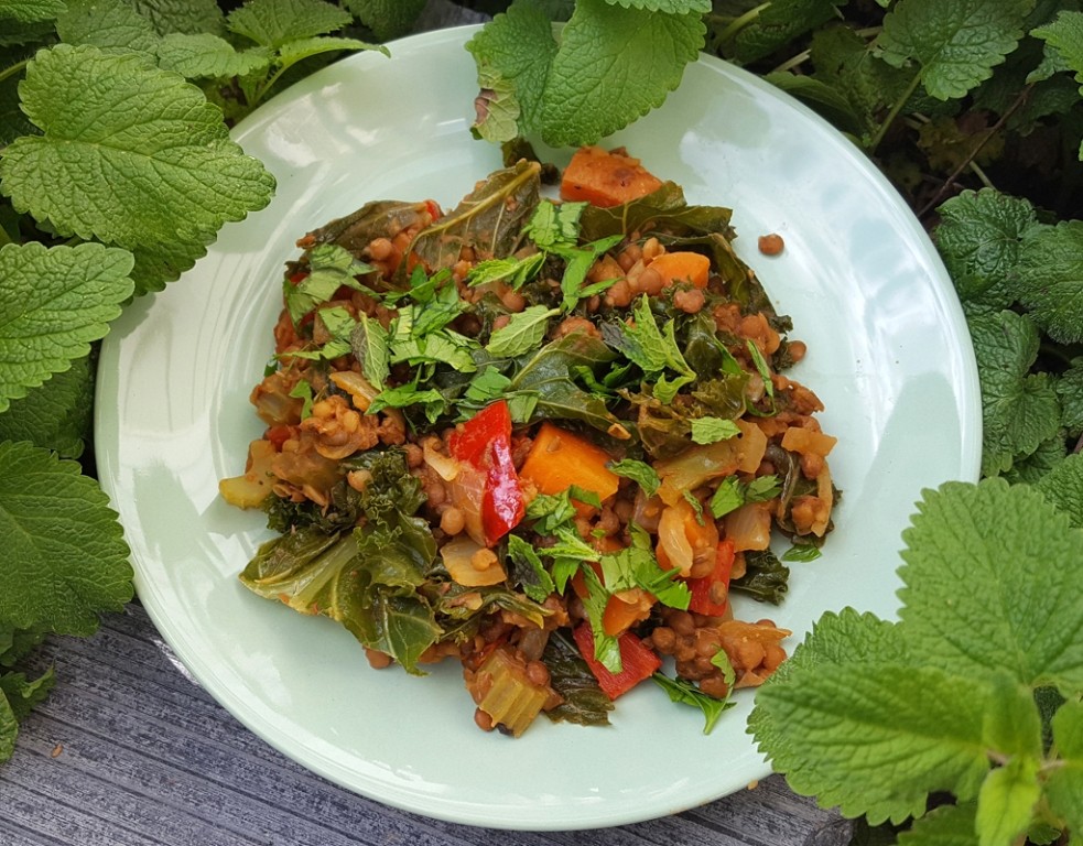 Spiced lentils with vegetables