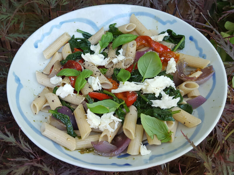 BBQ veggie & pasta salad