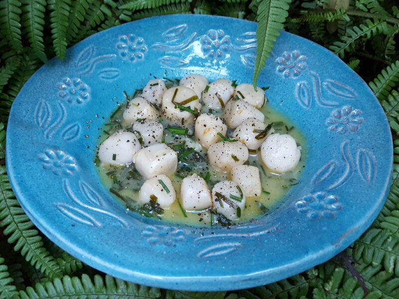 Scallops with lemon & chives sauce