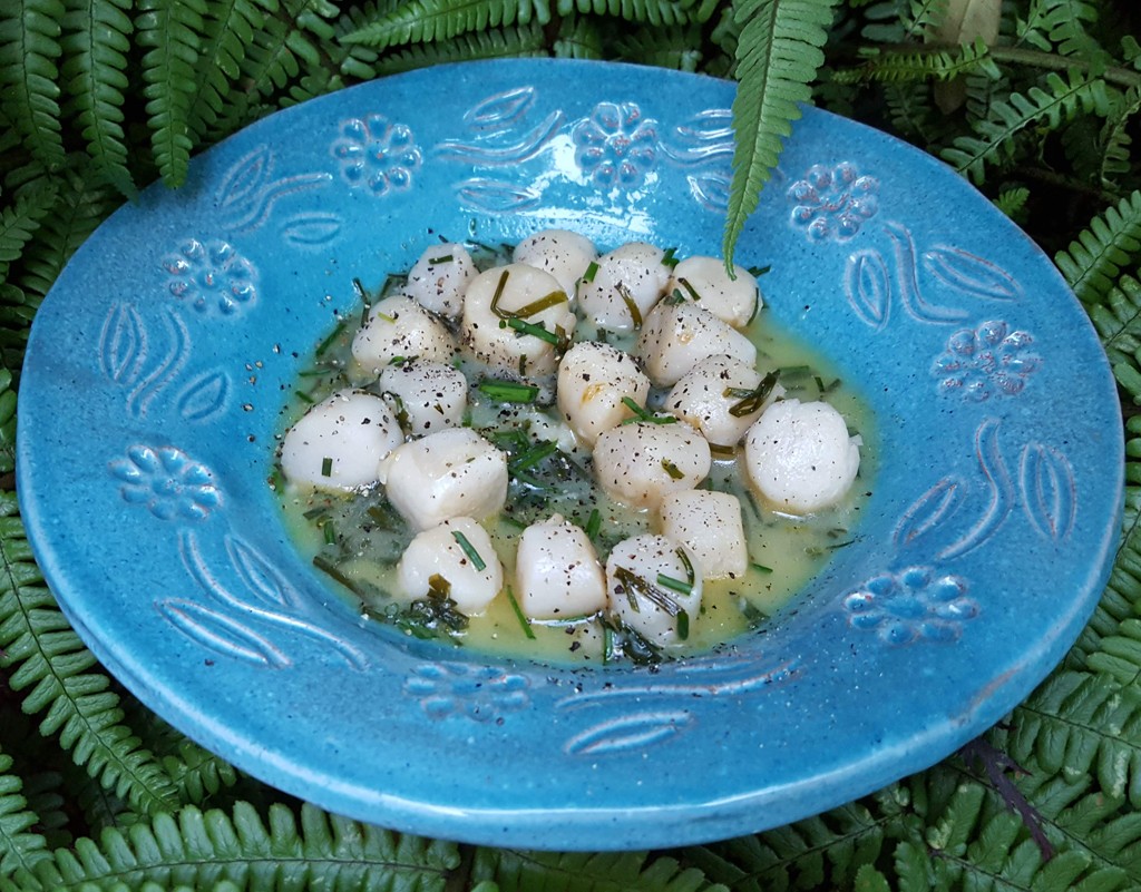 Scallops with lemon & chives sauce