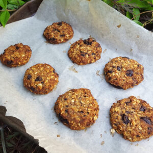 Chocolate chip oat cookies