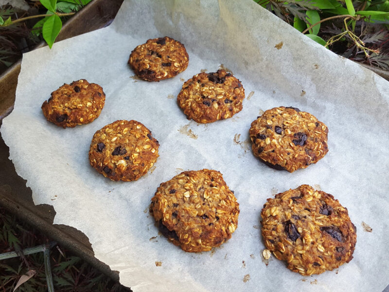 Chocolate chip oat cookies