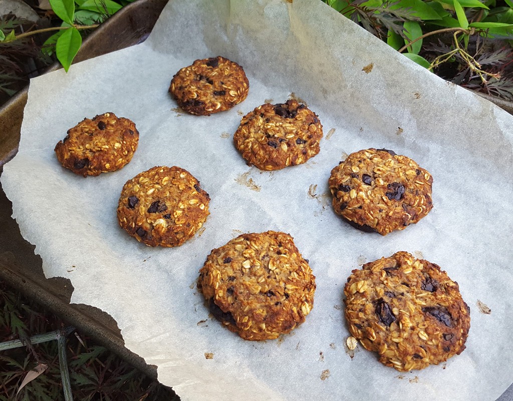 Chocolate chip oat cookies