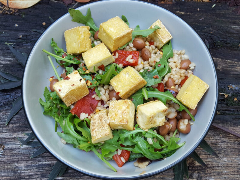 Bean and rice salad with tofu