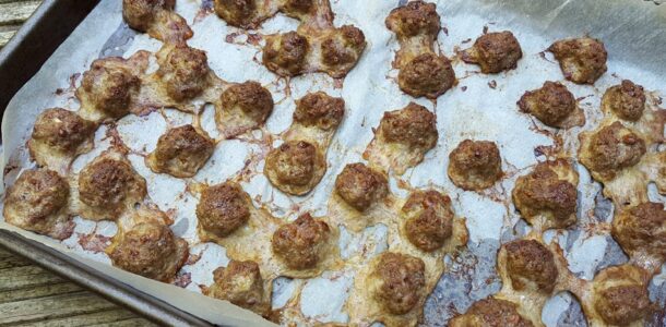 meatballs-for-dogs