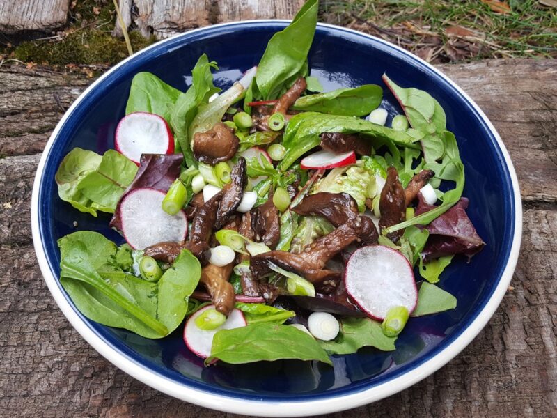 Shiitake and sesame salad