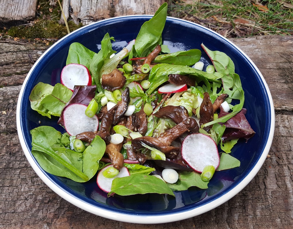 Shiitake and sesame salad