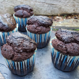 Chocolate Coconut Yogurt Muffins