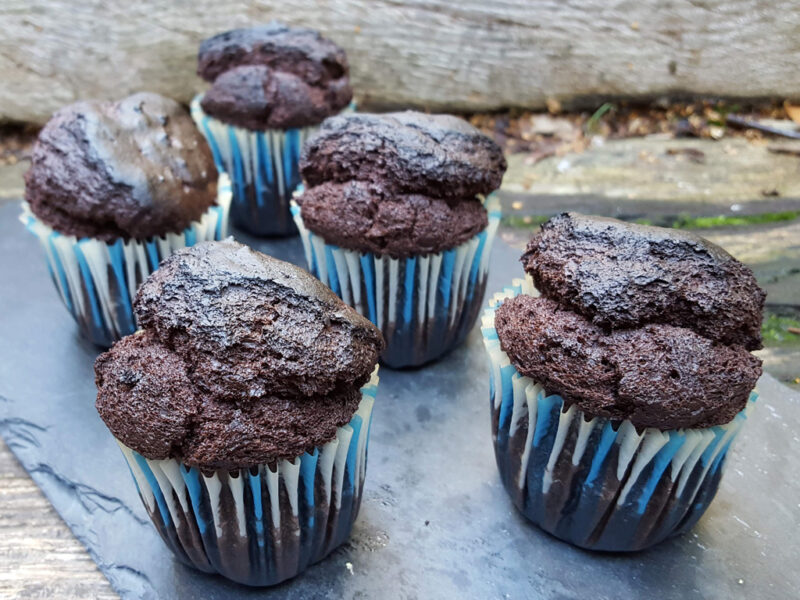 Chocolate Coconut Yogurt Muffins