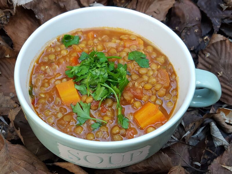 Spiced lentil soup