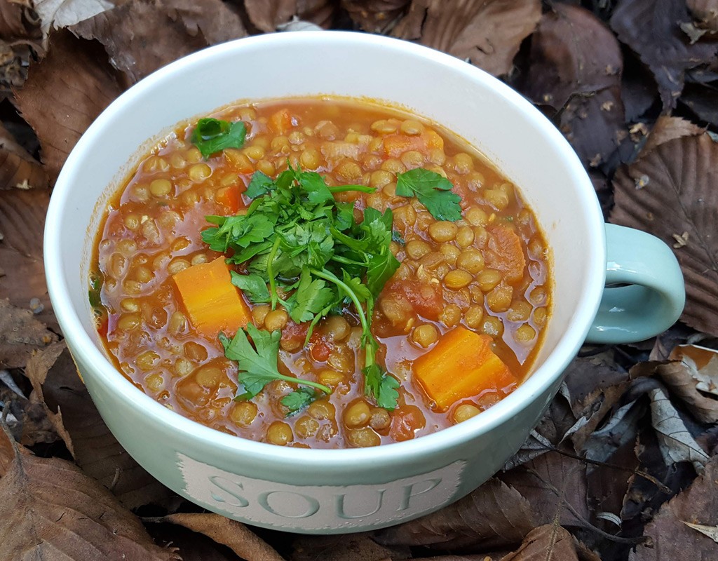 Spiced lentil soup