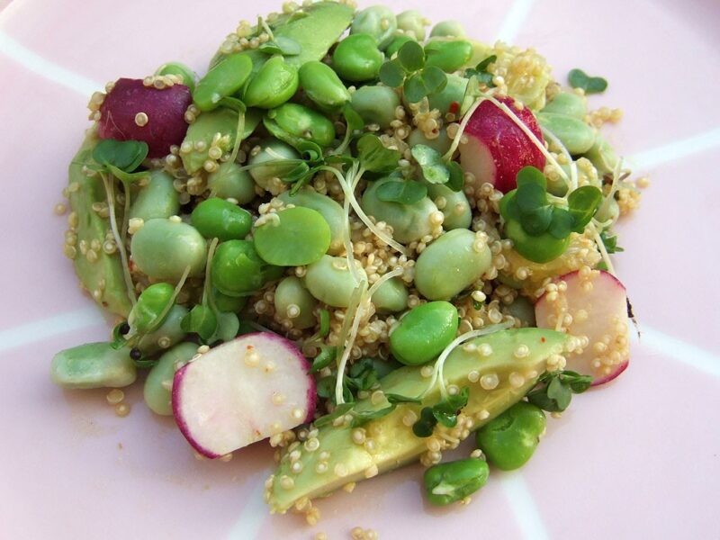 Quinoa, avocado and broad bean salad