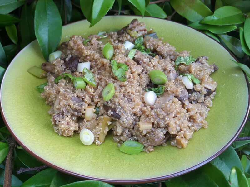 Shiitake and quinoa salad