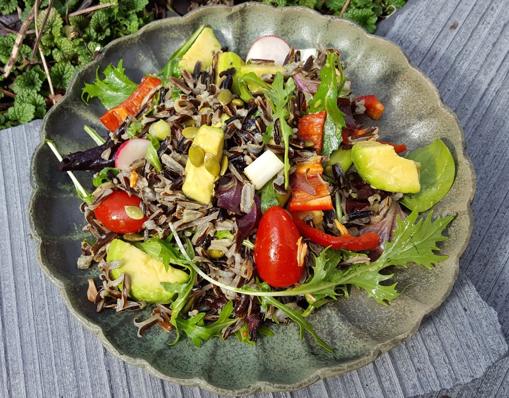 Wild rice and avocado salad