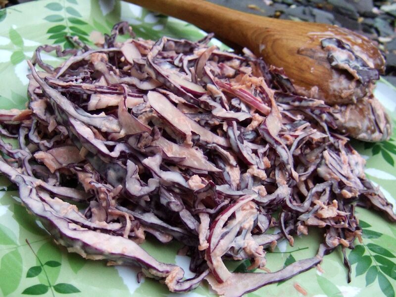 Red cabbage slaw