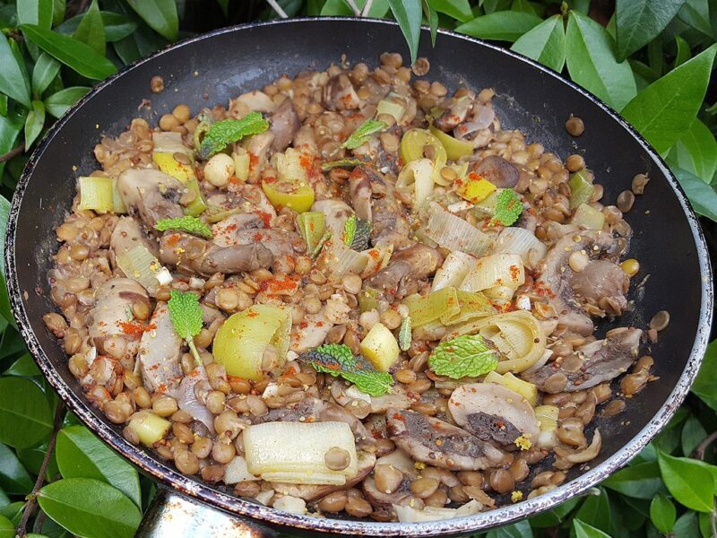 Sautéed mushroom, leek and lentils