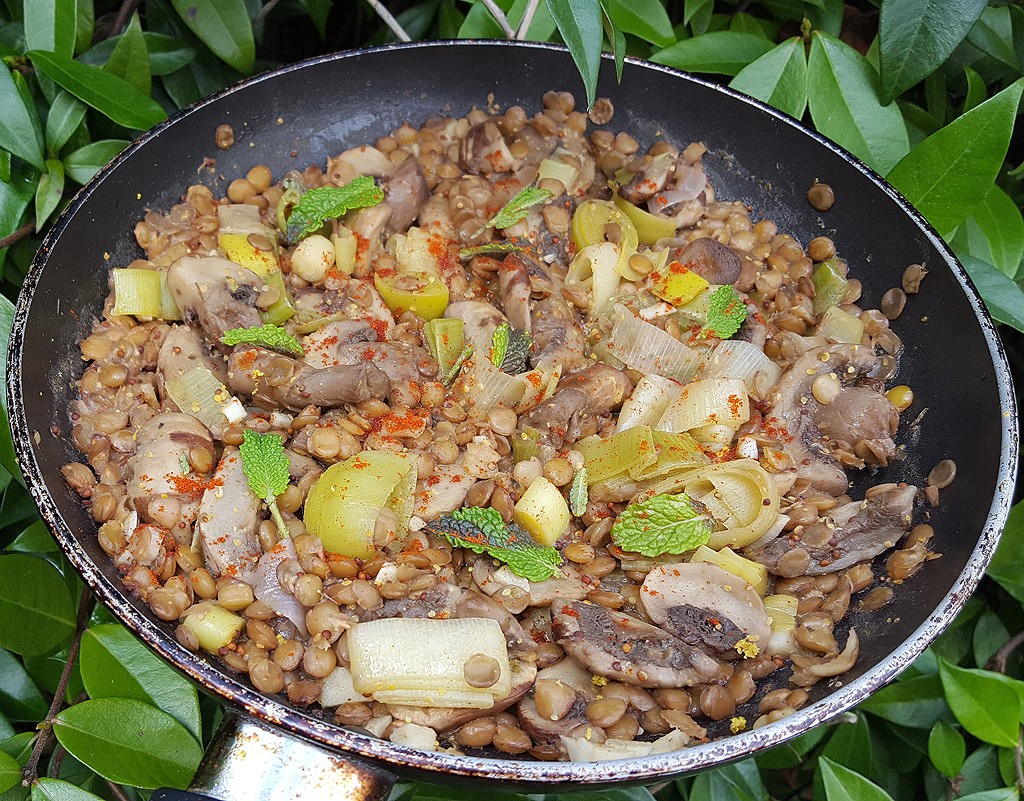 Sautéed mushroom, leek and lentils