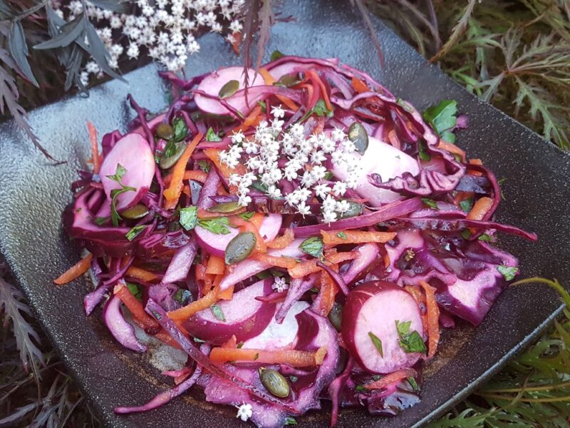 Red cabbage, carrot and radish salad