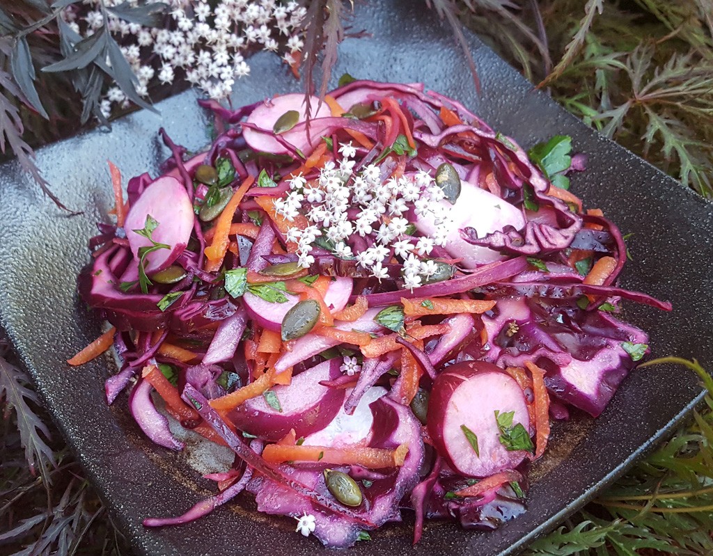 Red cabbage, carrot and radish salad