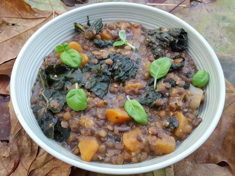 Lentil, Sweet Potato & Black Kale Stew