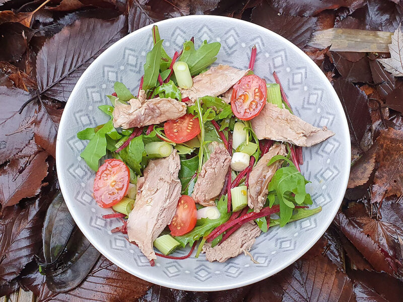 Duck salad with honey and soy dressing