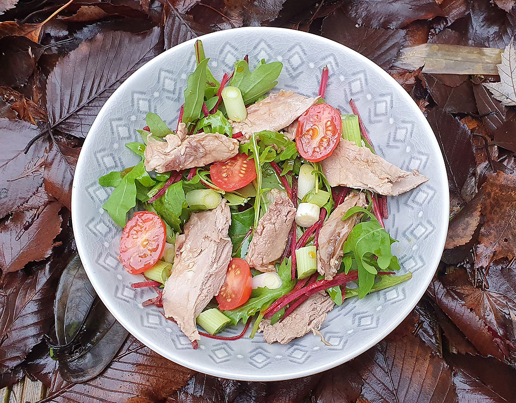 Duck salad with honey and soy dressing