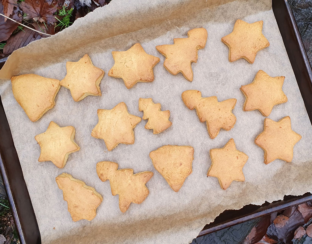 Orange gingerbread cookies