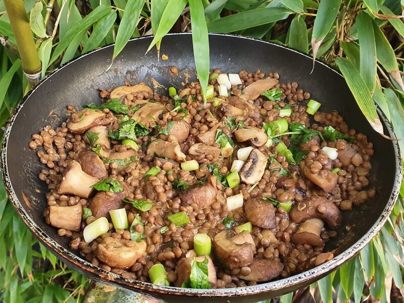 Sautéed miso mushroom with lentils