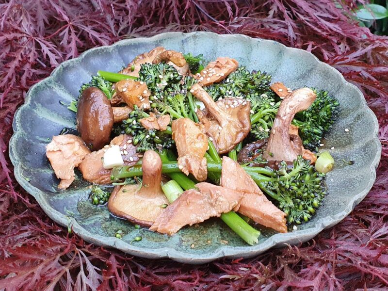 Grilled Wild Salmon and Shiitake with broccoli