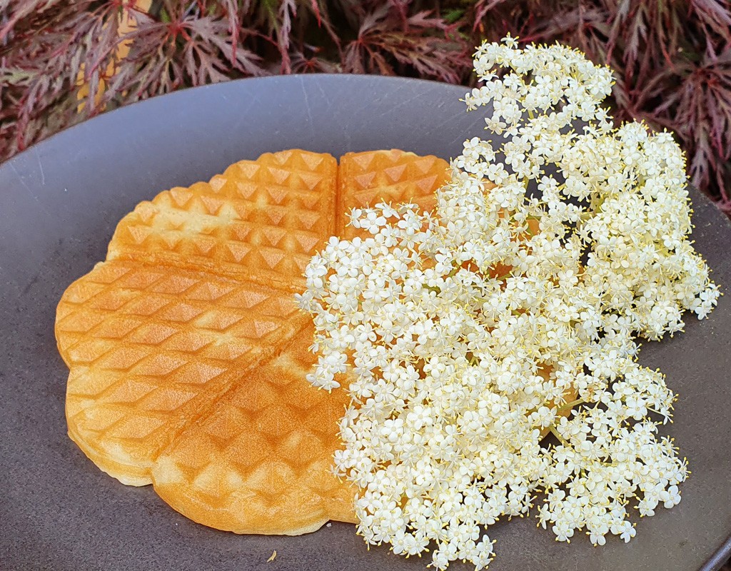 Elderflower waffles