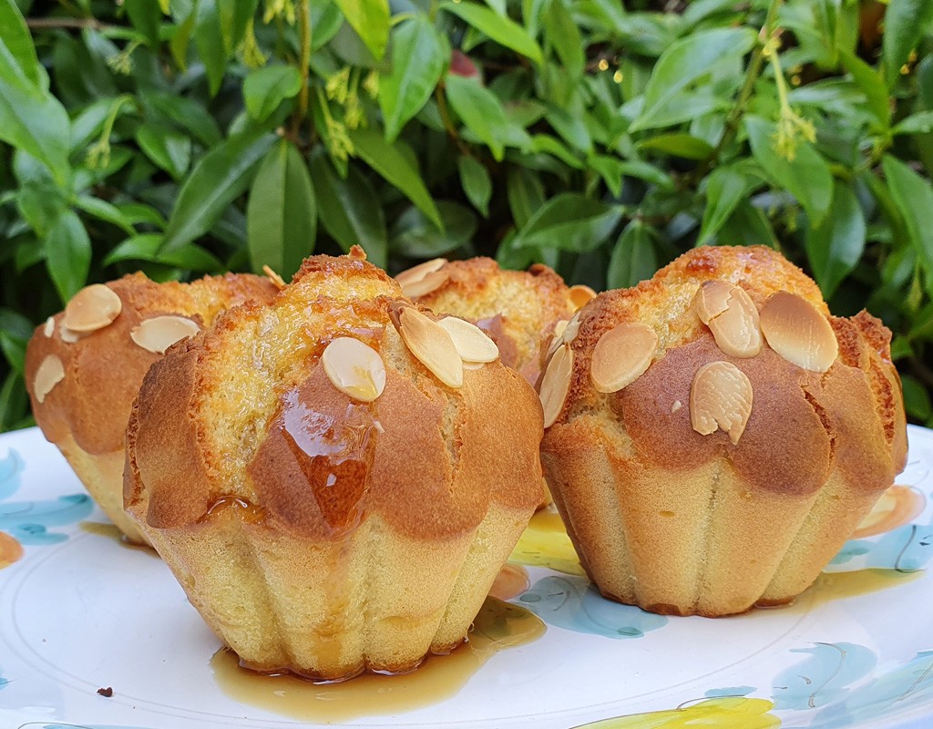 Gluten-free elderflower and almond muffins