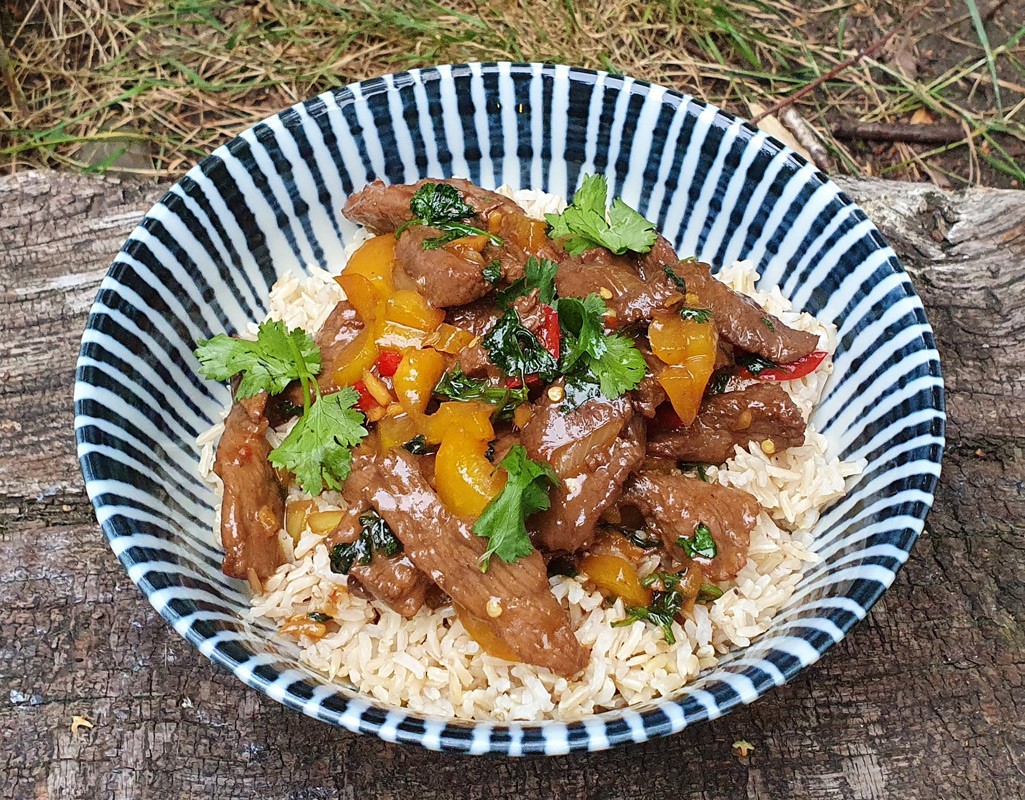 Venison Stir Fry