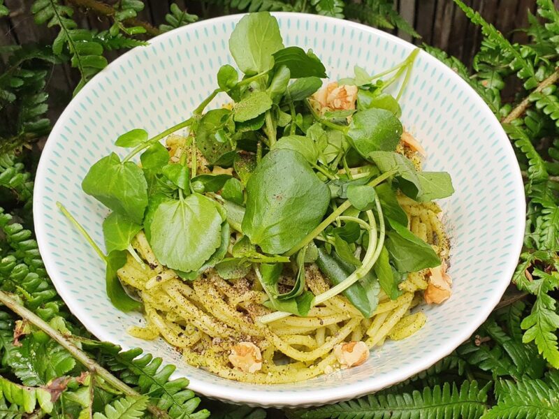 Vegan pasta with watercress and walnut pesto