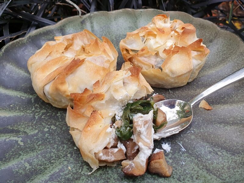 Mushroom and goats cheese mini filo pies