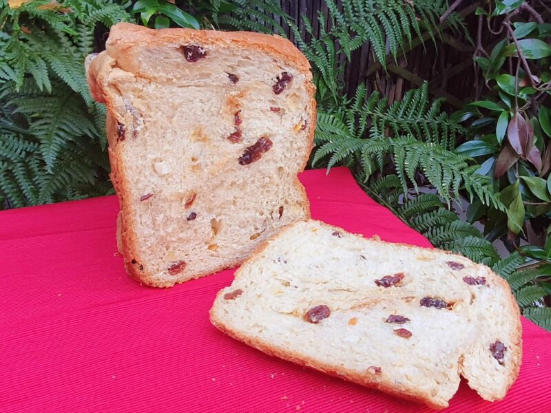 Bread Machine Pannettone