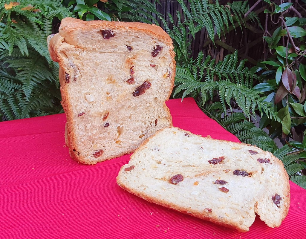 Bread Machine Pannettone