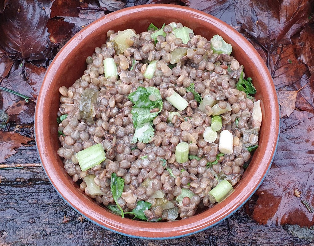 Creamy lentil salad