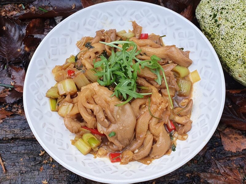 Oyster mushroom and leek stir-fry