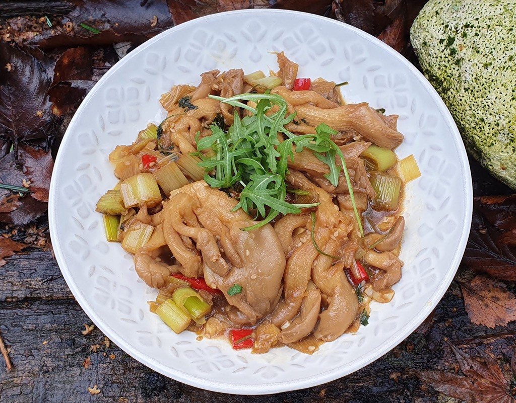 Oyster mushroom and leek stir-fry