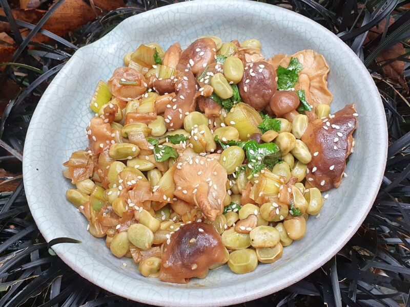 Sauteed Shiitake with broad beans