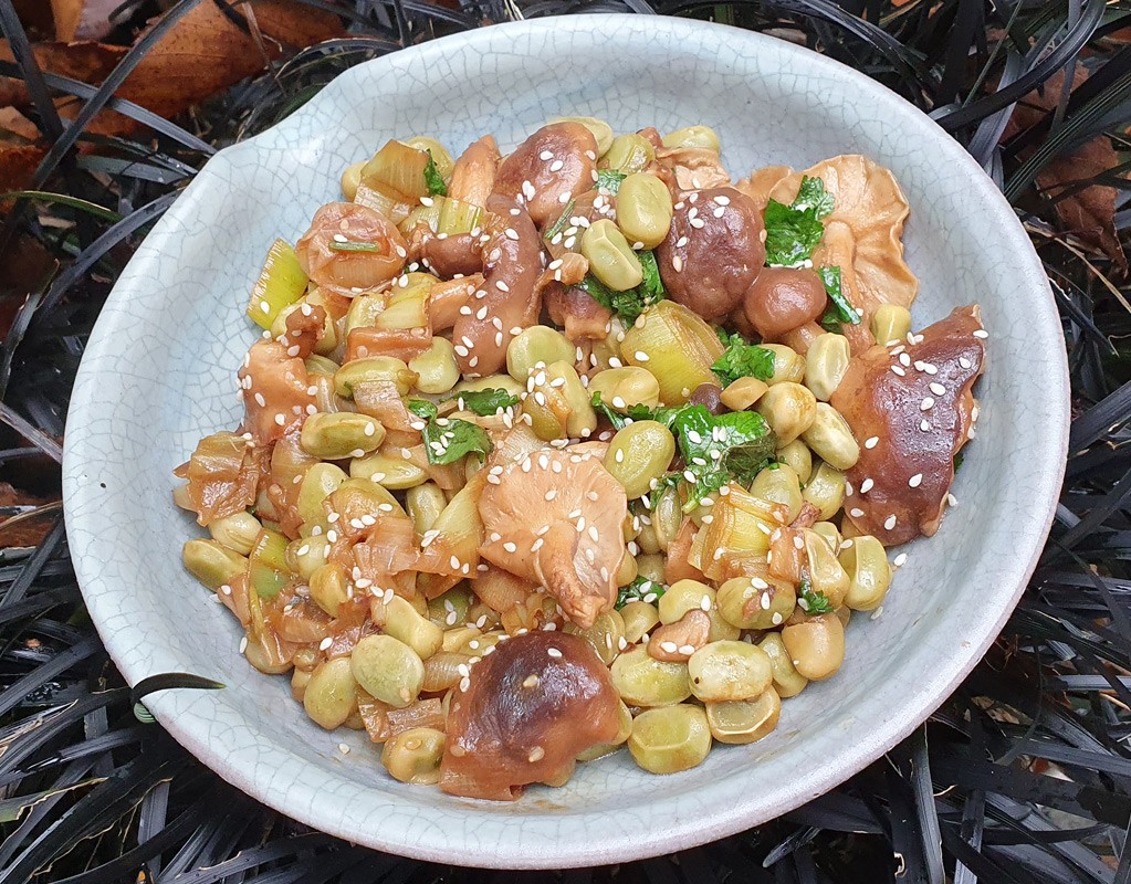 Sauteed Shiitake with broad beans