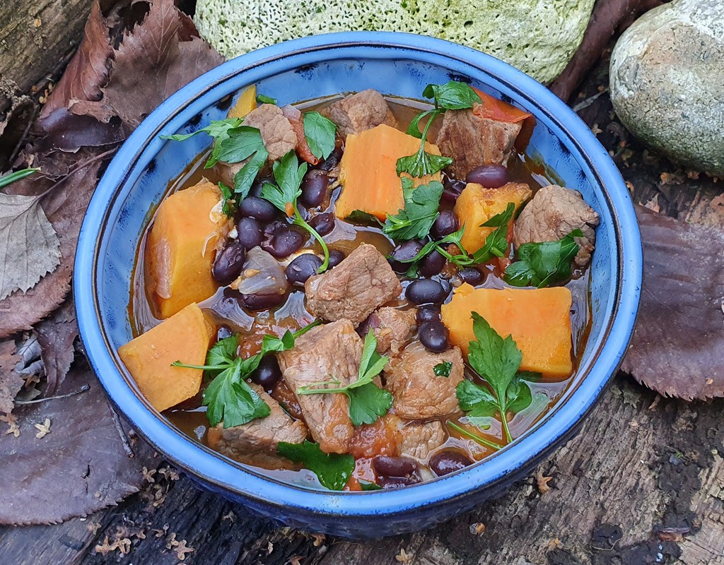 Mexican-style beef stew