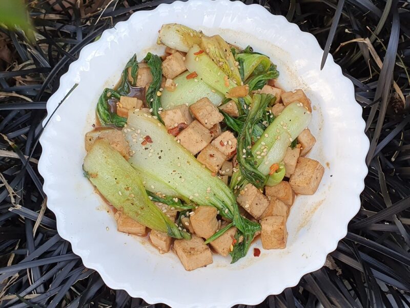 Tofu and pak choi stir-fry