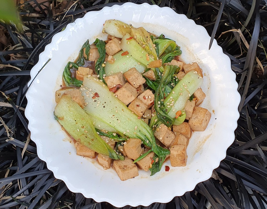 Tofu and pak choi stir-fry